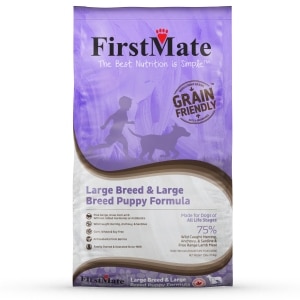 Grain Friendly Formula Large Breed Puppy Dog Food