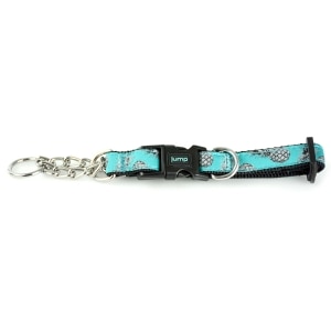 Martingale Collar Teal Pineapple
