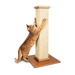 Ultimate Scratching Post