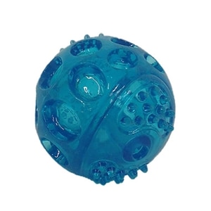 TPR Squeaky Ball Dog Toy