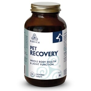 Recovery Whole Body Health & Joint Function Chewable Tablets