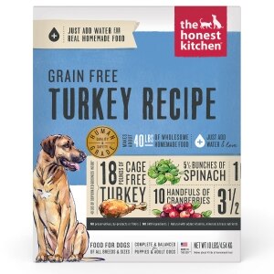 Grain Free Turkey Recipe