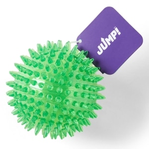Dental Squeaker Ball Green Dog Toy