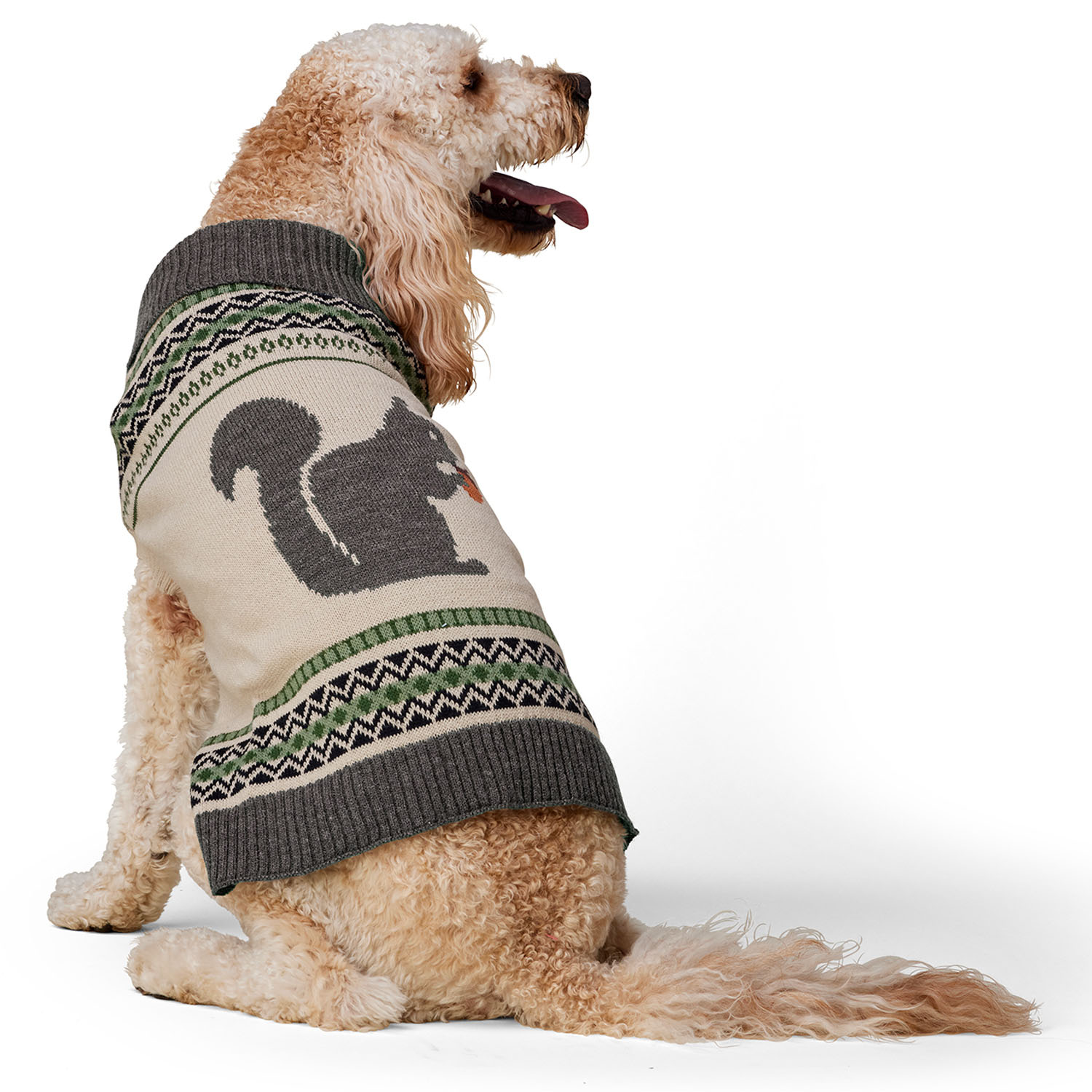 CT COUTUDI Good Vibes Only Word Print Dog Hoodie Cat Hoodie Puppy Hoodie Sweater Dog Coat Casual Sweatshirt 