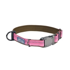 Reflective 1in Adjustable Collar - Pink