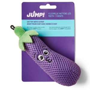 Eggplant Dental Cat Toy