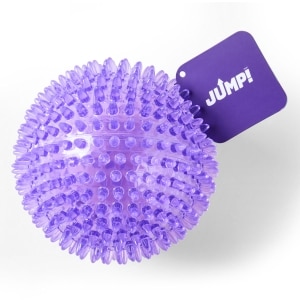 Dental Squeaker Ball Purple Dog Toy
