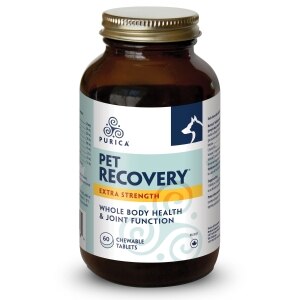 Recovery Extra Strength Whole Body Health & Joint Function Chewable Tablets