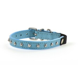 Leather Studded Cat Collar Blue