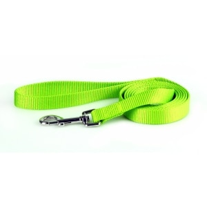 Nylon 1in Lime Green Dog Leash