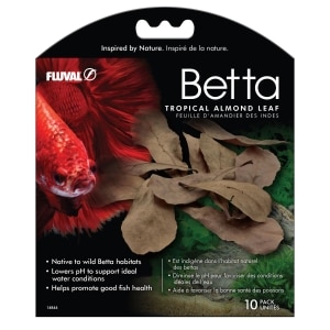 Betta Tropical Almond Leaves