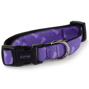 Nylon Adjustable Purple Bones Dog Collar