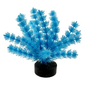 ColorBurst Florals Foxtail Plant - Neon Blue