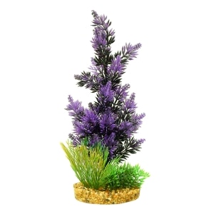 ColorBurst Florals Pacifica Plant - Black/Purple