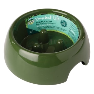 Enriched Life Forage Large Green Bowl for Small Pets