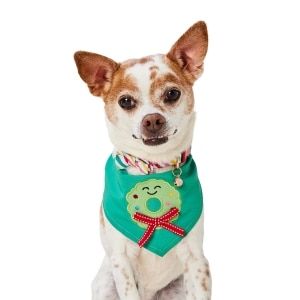 Dog Collar and Bandana Holiday Set