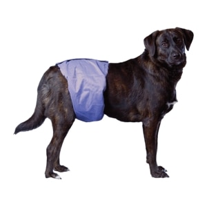 Pooch Pant Washable Male Wrap