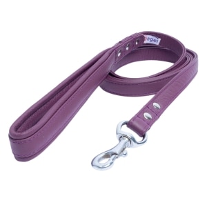 Aspen Leather Leash - Purple