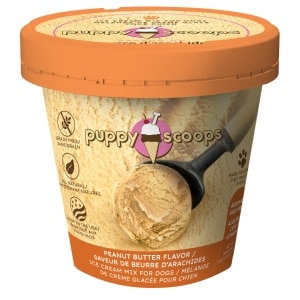 Peanut Butter Flavour Ice Cream Mix