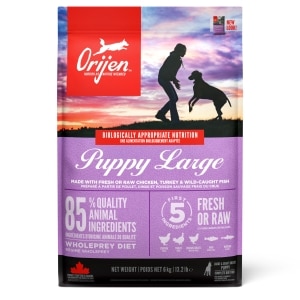 Large Breed Puppy Dog Food