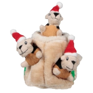 Holiday Hide-A-Squirrel Plush Dog Toy