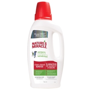 Dog Stain & Odour Remover