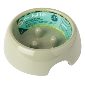 Enriched Life Forage Small Ivory Bowl for Small Pets