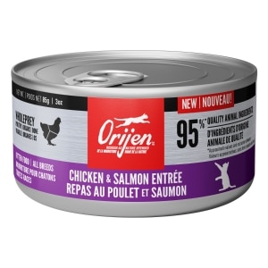 Chicken + Salmon Entree Kitten Cat Food