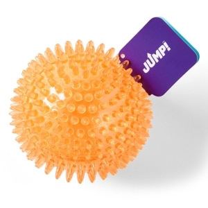 Dental Squeaker Ball Orange Dog Toy