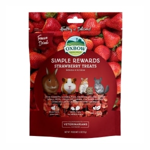 Simple Rewards Strawberry Treats for Small Animals