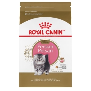 Persian Kitten Cat Food