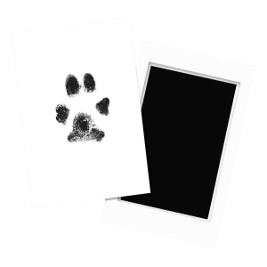 Clean Touch Ink Pad For Pet