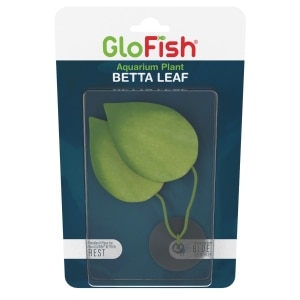 Betta Leaf