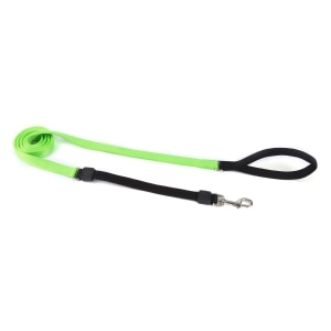Bungee 3/4in Lime Green Dog Leash