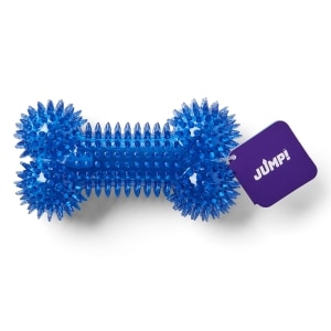 Dental Squeaker Bone Blue Dog Toy