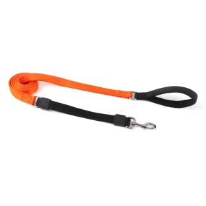 Bungee 1in Orange Dog Leash