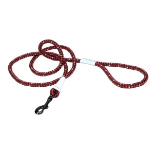 Reflective Braided Rope Snap Dog Leash - Berry