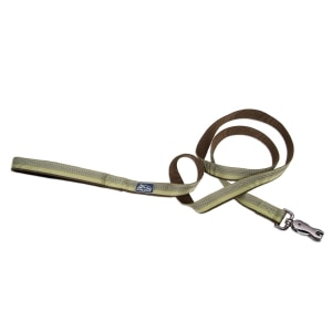 Reflective Nylon Scissor Snap Dog Leash 1in - Fern