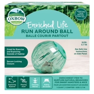 Enriched Life  Small Animal Run Around Ball