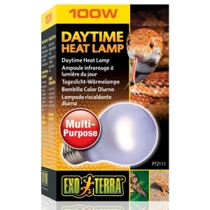 Daytime A21 Heat Lamp