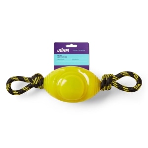Glow Ball with Rope Dog Toy