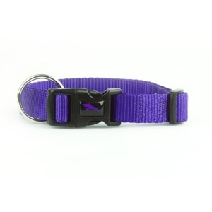Nylon Adjustable Purple Dog Collar