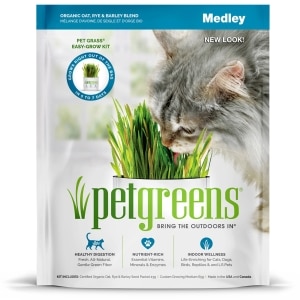 Pet Grass Self-Grow Kit Medley