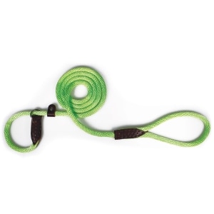 Rope Leash Lime