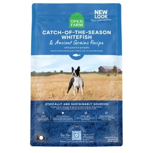Catch-Of-The-Season Whitefish & Ancient Grains Recipe Adult Dog Food