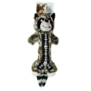 Raccoon with Spring Squeaker Toy