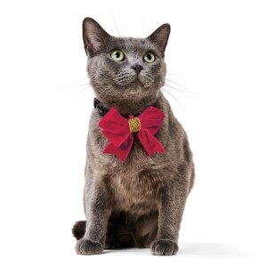 Big Bow Red Velvet Holiday Bowtie