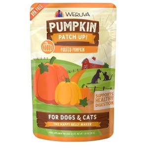 Pumpkin Patch Up! Pureed Pumpkin for Dogs & Cats