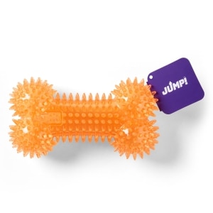 Dental Squeaker Bone Orange Dog Toy