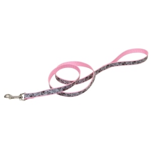 Lazer Brite Reflective Nylon Dog Leash 5/8in - Pink New Hearts